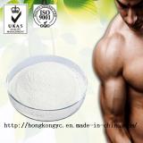 Testosterone Undecanoate Powder (Andriol Powder)